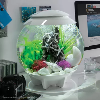 Product biOrb Sea Star Rock Sculpture Aquarium Ornament