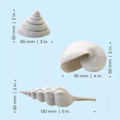 Product biOrb Sea Shell Aquarium Ornaments - 3pk