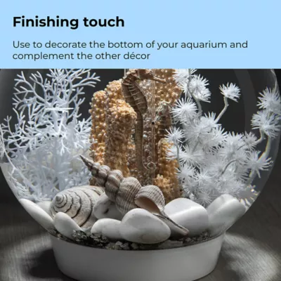 Product biOrb Sea Shell Aquarium Ornaments - 3pk