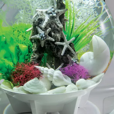 Product biOrb Sea Shell Aquarium Ornaments - 3pk