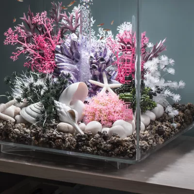Product biOrb Sea Shell Aquarium Ornaments - 3pk