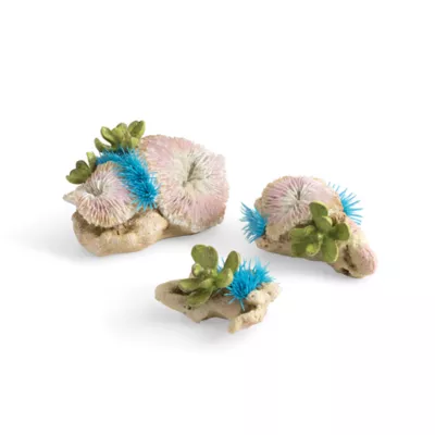 Product biOrb Plate Corals & Button Polyps Aquarium Ornaments - 3pk