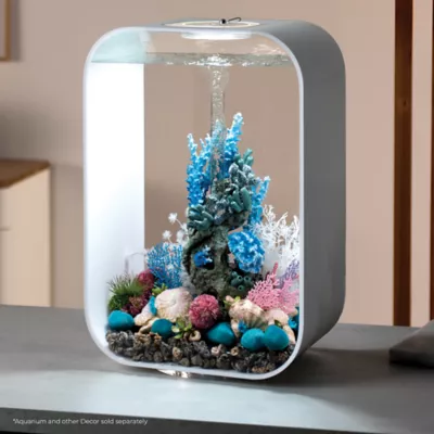 Product biOrb Plate Corals & Button Polyps Aquarium Ornaments - 3pk