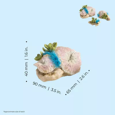 Product biOrb Plate Corals & Button Polyps Aquarium Ornaments - 3pk