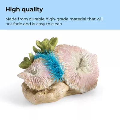 Product biOrb Plate Corals & Button Polyps Aquarium Ornaments - 3pk