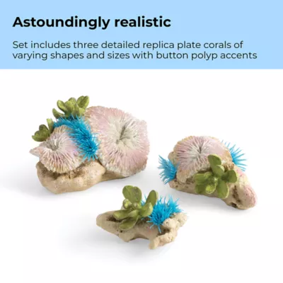 Product biOrb Plate Corals & Button Polyps Aquarium Ornaments - 3pk