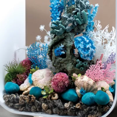 Product biOrb Plate Corals & Button Polyps Aquarium Ornaments - 3pk