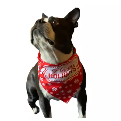 Product Hip Doggie Holiday "Happy Holidays" and "Santa's Favorite Elf" Reversible Dog Bandana