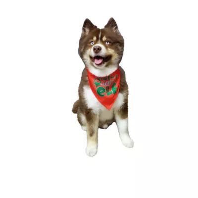 Product Hip Doggie Holiday "Happy Holidays" and "Santa's Favorite Elf" Reversible Dog Bandana