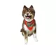 Product Hip Doggie Holiday "Happy Holidays" and "Santa's Favorite Elf" Reversible Dog Bandana