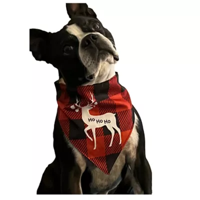 Product Hip Doggie Holiday "Santa Baby" and "Reindeer Ho, Ho Ho" Reversible Dog Bandana