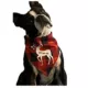 Product Hip Doggie Holiday "Santa Baby" and "Reindeer Ho, Ho Ho" Reversible Dog Bandana