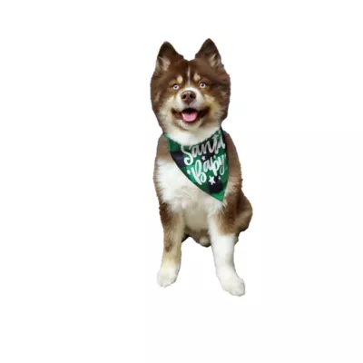 Product Hip Doggie Holiday "Santa Baby" and "Reindeer Ho, Ho Ho" Reversible Dog Bandana