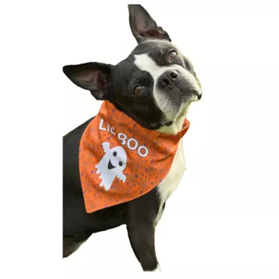 Product Hip Doggie Halloween "Lil' Boo" and "Tricks 4 Treats" Reversible Dog Bandana