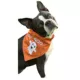 Product Hip Doggie Halloween "Lil' Boo" and "Tricks 4 Treats" Reversible Dog Bandana