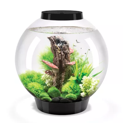 Product biOrb CLASSIC 30 Aquarium with LED - 8 Gallon