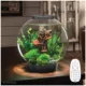 Product biOrb CLASSIC 30 Aquarium with Multi Color LED - 8 Gallon