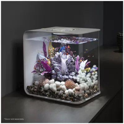 Product biOrb FLOW 30 Aquarium with LED - 8 Gallon