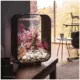 Product biOrb LIFE 15 Aquarium with LED - 4 Gallon