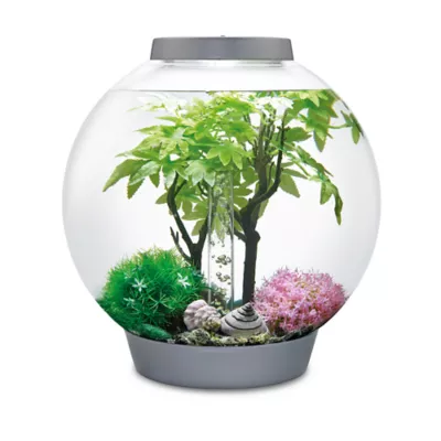 Product biOrb Summer Aquarium Ornament Set