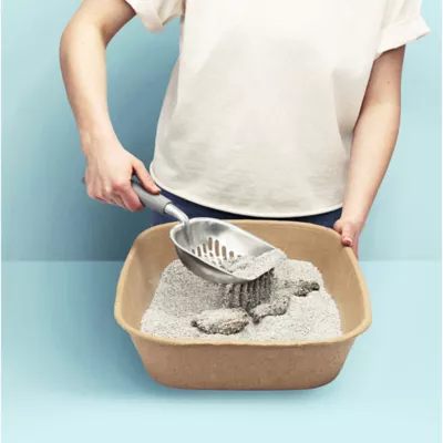 Product  Kitty Sift Disposable Litter Box