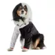Product Rubie's Pet Shop Halloween Cruella DeVille Costume