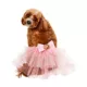 Product Rubie's Pet Shop Fairy Dog TuTu