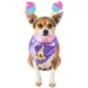 Product Rubie's Pet Shop Birthday Mickey Mouse Party Pup Pet Accessory