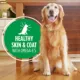 Product Iams Proactive Health Adult Wet Dog Food - Classic Ground Lamb & Rice,  Multipack, 6 x 369 g