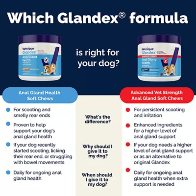 Product Vetnique Labs Glandex® Boot the Scoot® Advanved Vet Strength Anal Gland Soft Chew Dog Supplement