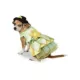 Product Rubie's Pet Shop Halloween The Princess And The Frog Dog & Cat Costume