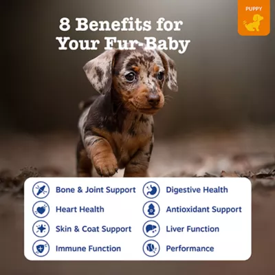Product Zesty Paws 8-in-1 Multivitamin Bites for Puppy - Chicken Flavor - 90 Ct