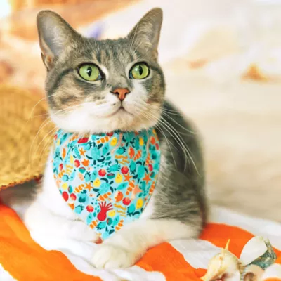 Product Made By Cleo Bandana- Ocean Life