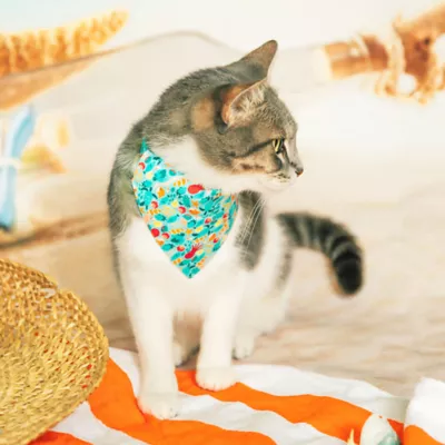 Product Made By Cleo Bandana- Ocean Life