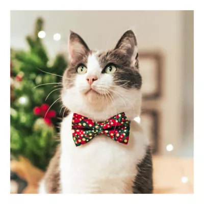 Product Made By Cleo® Joy Christmas Cat Bow Tie
