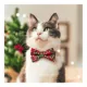Product Made By Cleo® Joy Christmas Cat Bow Tie