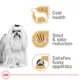 Product Royal Canin® Breed Health Nutrition Maltese Breed Specific Adult Dog Dry Food - 2.5 lb