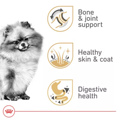 Product Royal Canin® Breed Health Nutrition Pomeranian Breed Specific Adult Dog Dry Food - 2.5 lb