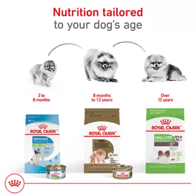 Product Royal Canin® Breed Health Nutrition Pomeranian Breed Specific Adult Dog Dry Food - 2.5 lb