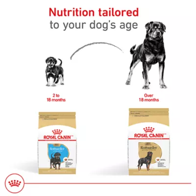 Product Royal Canin® Breed Health Nutrition Rottweiler Breed Specific Adult Dog Dry Food - 30 lb