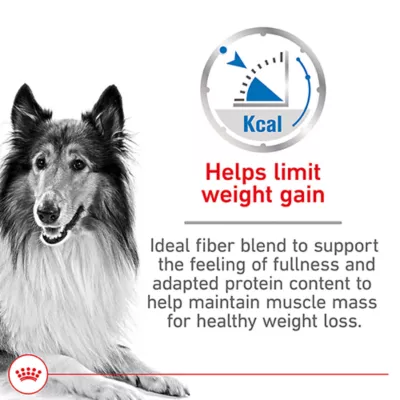 Product Royal Canin Canine Adult Dry Dog Food - Large Weight Care Nutrition, 30 lb