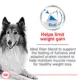 Product Royal Canin Canine Adult Dry Dog Food - Large Weight Care Nutrition, 30 lb