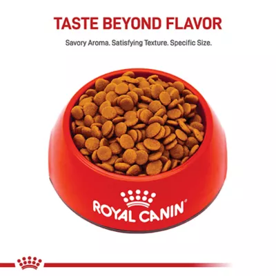 Product Royal Canin Adult Dry Small Dog Food Canine Care Nutrition, Digestive Care