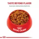 Product Royal Canin Adult Dry Small Dog Food Canine Care Nutrition, Digestive Care