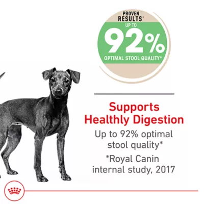 Product Royal Canin Adult Dry Small Dog Food Canine Care Nutrition, Digestive Care