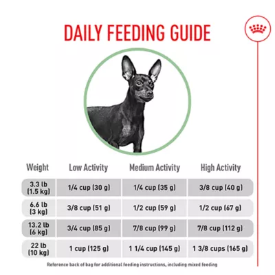 Product Royal Canin Adult Dry Small Dog Food Canine Care Nutrition, Digestive Care