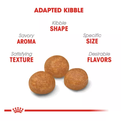 Product Royal Canin® Size Health Nutrition X-Small Breed Adult Dog Dry Food - 2.5 lb