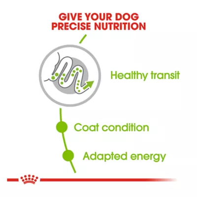 Product Royal Canin® Size Health Nutrition X-Small Breed Adult Dog Dry Food - 2.5 lb