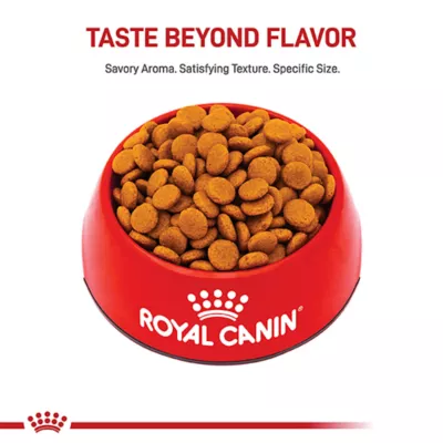 Product Royal Canin® Canine Care Nutrition Digestive Care Medium Breed Adult Dog Dry Food