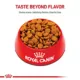 Product Royal Canin® Canine Care Nutrition Digestive Care Medium Breed Adult Dog Dry Food